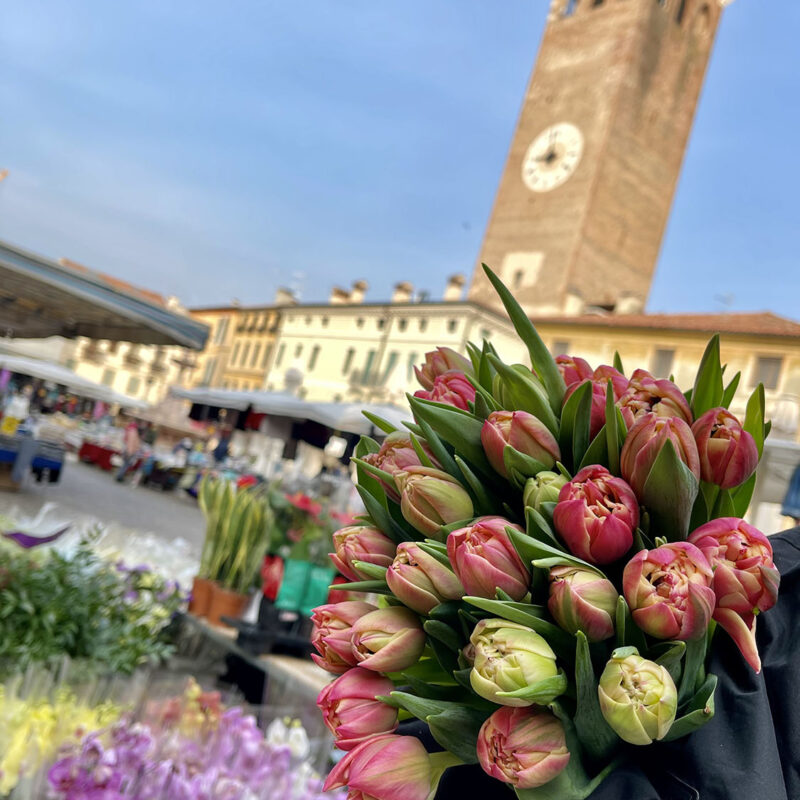 pensieri floreali Tiberio Bisinella